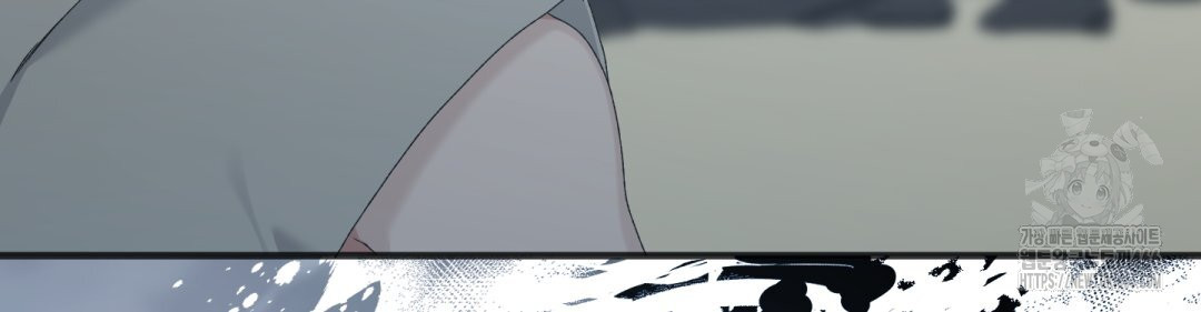 1732295710_79431568330008.jpg