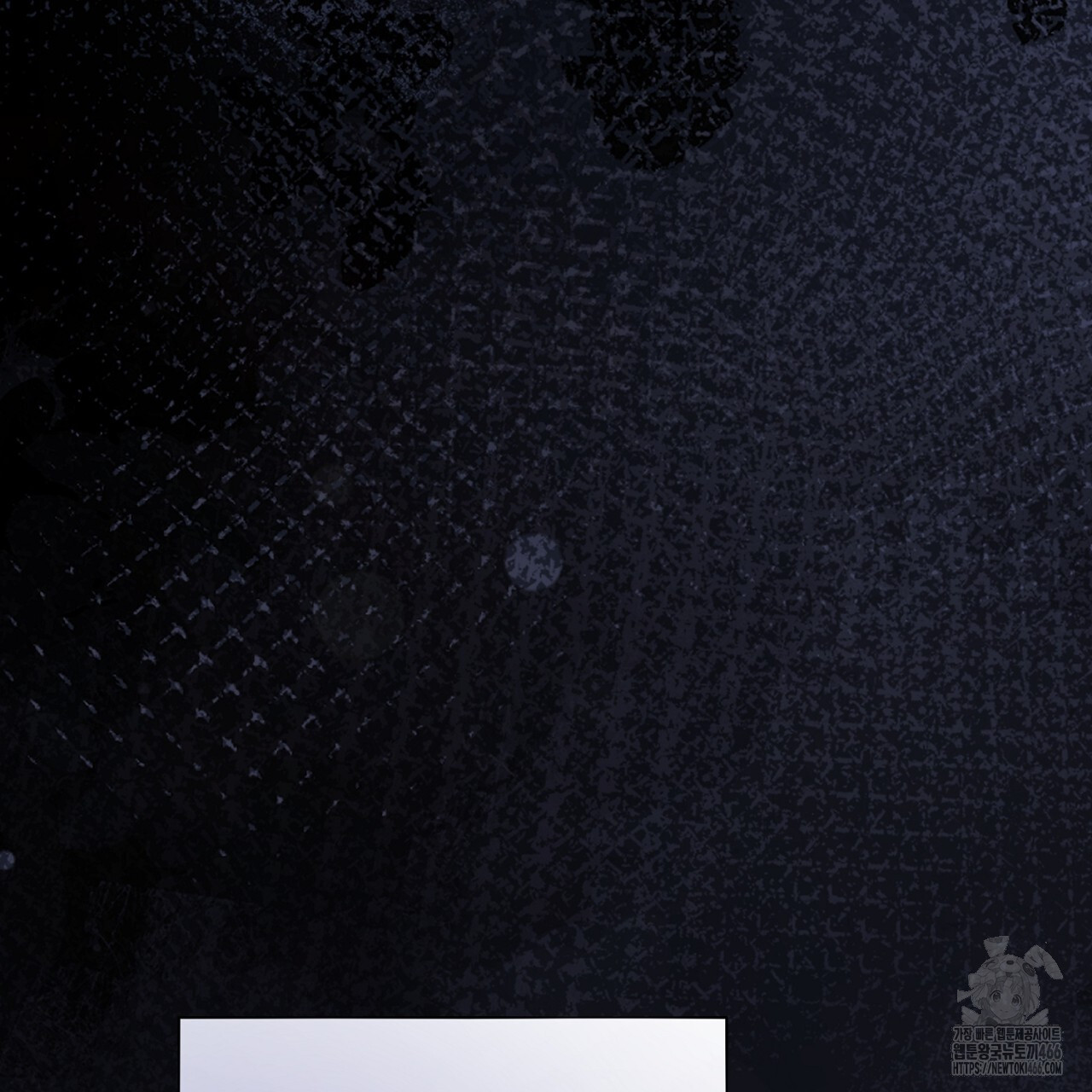 1735920172_86822647105913.jpg