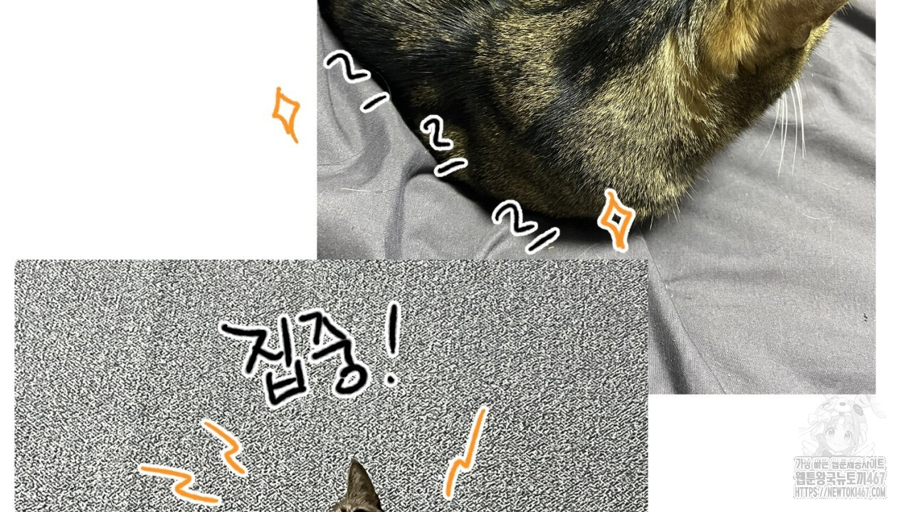 1737126107_72437663734118.jpg