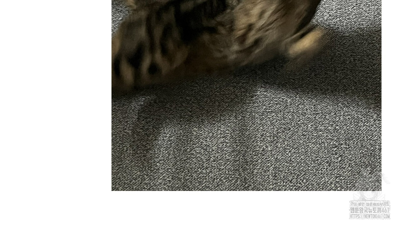 1737126114_80029751746096.jpg