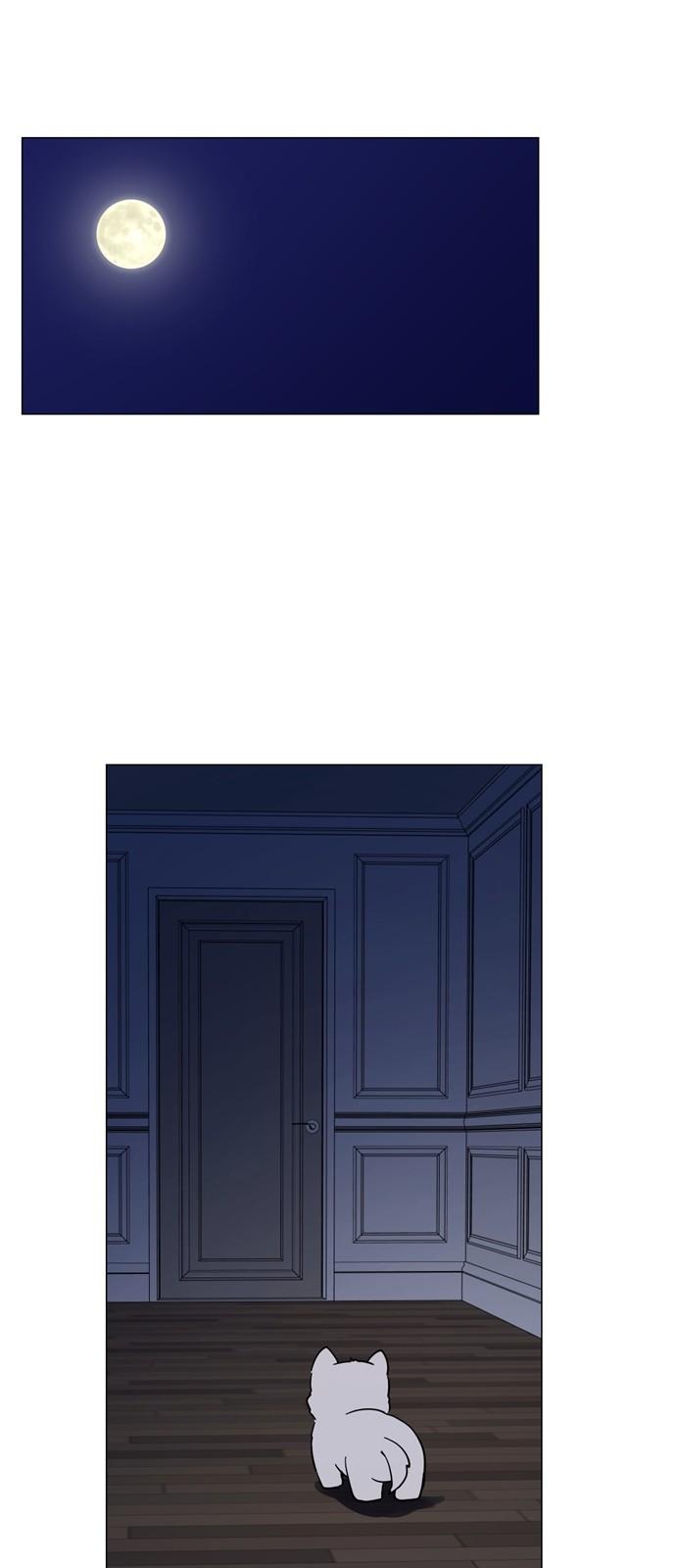 bt_1746206433_35259582674965.jpg