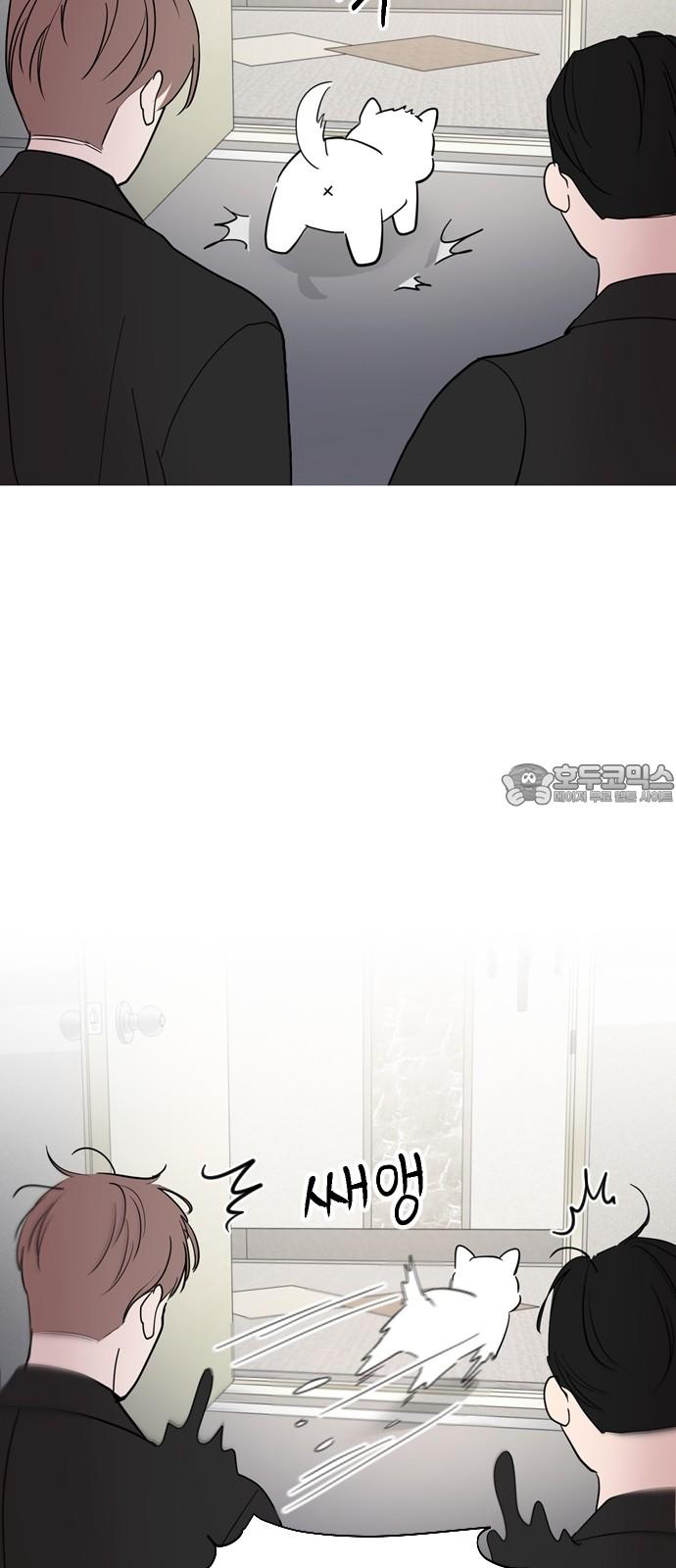 bt_1746206475_94689511307074.jpg