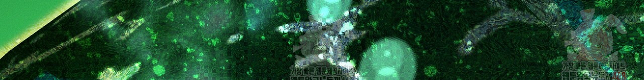 1746810842_32883242280100.jpg