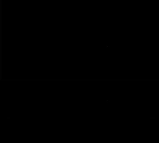 1685753675_68471719322504.jpg