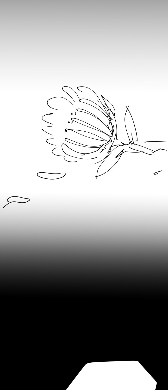 1685755981_22986037492989.jpg