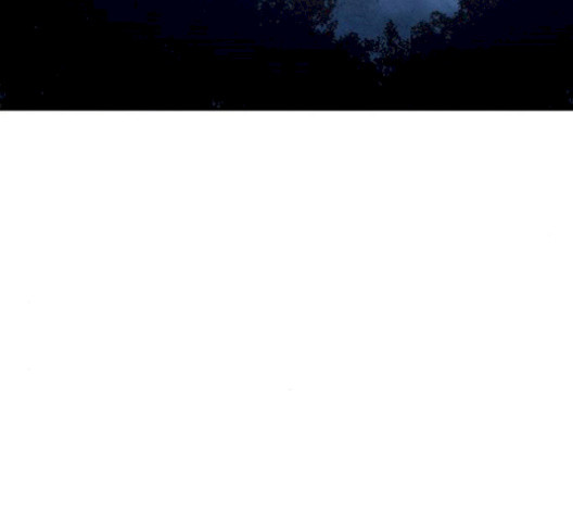 1685767777_36619280230790.jpg