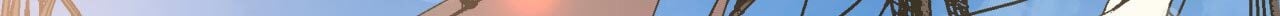 1685769289_91769397553429.jpg