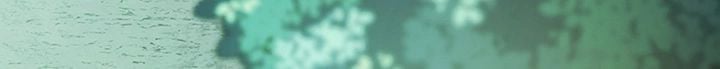 1685775891_82068272848720.jpg