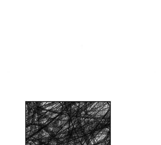 1685782091_74621281748494.jpg