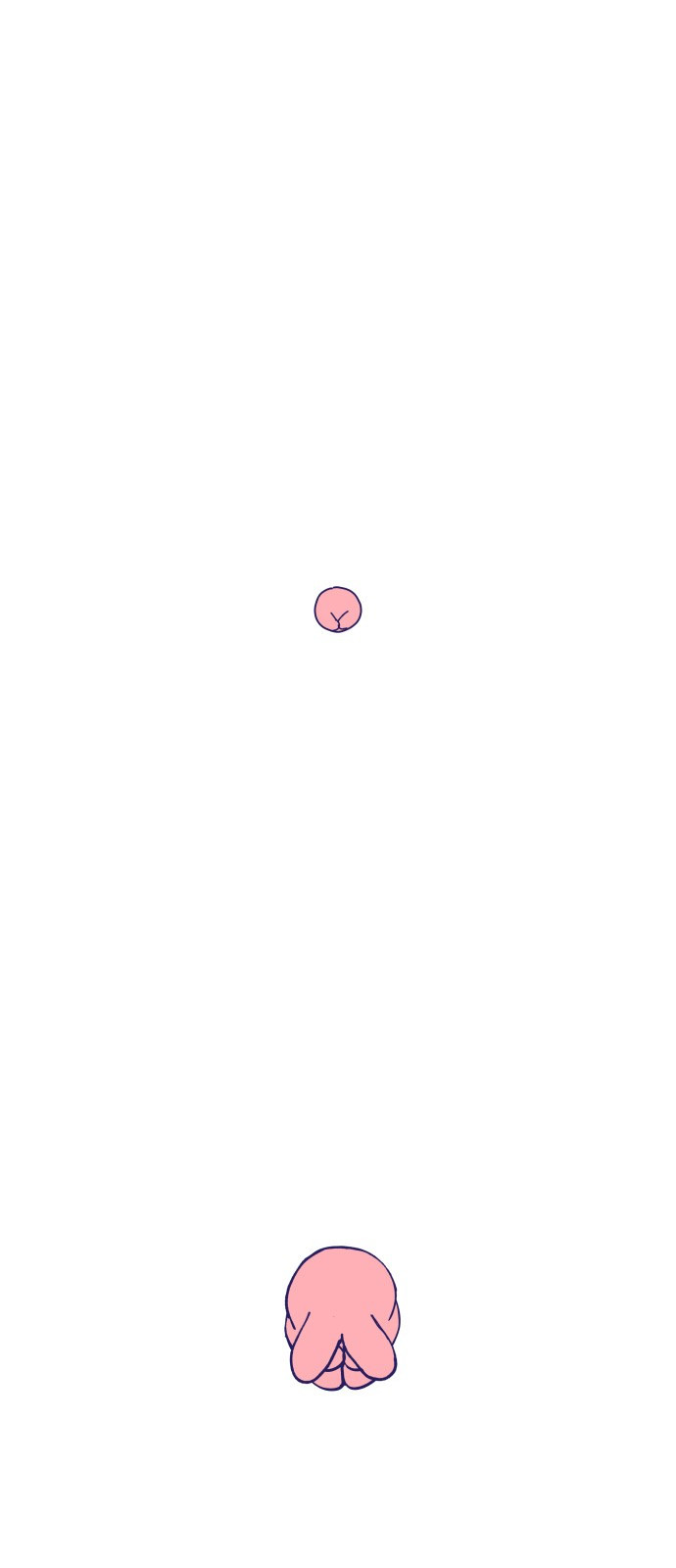 1687534227_68915547001295.jpg