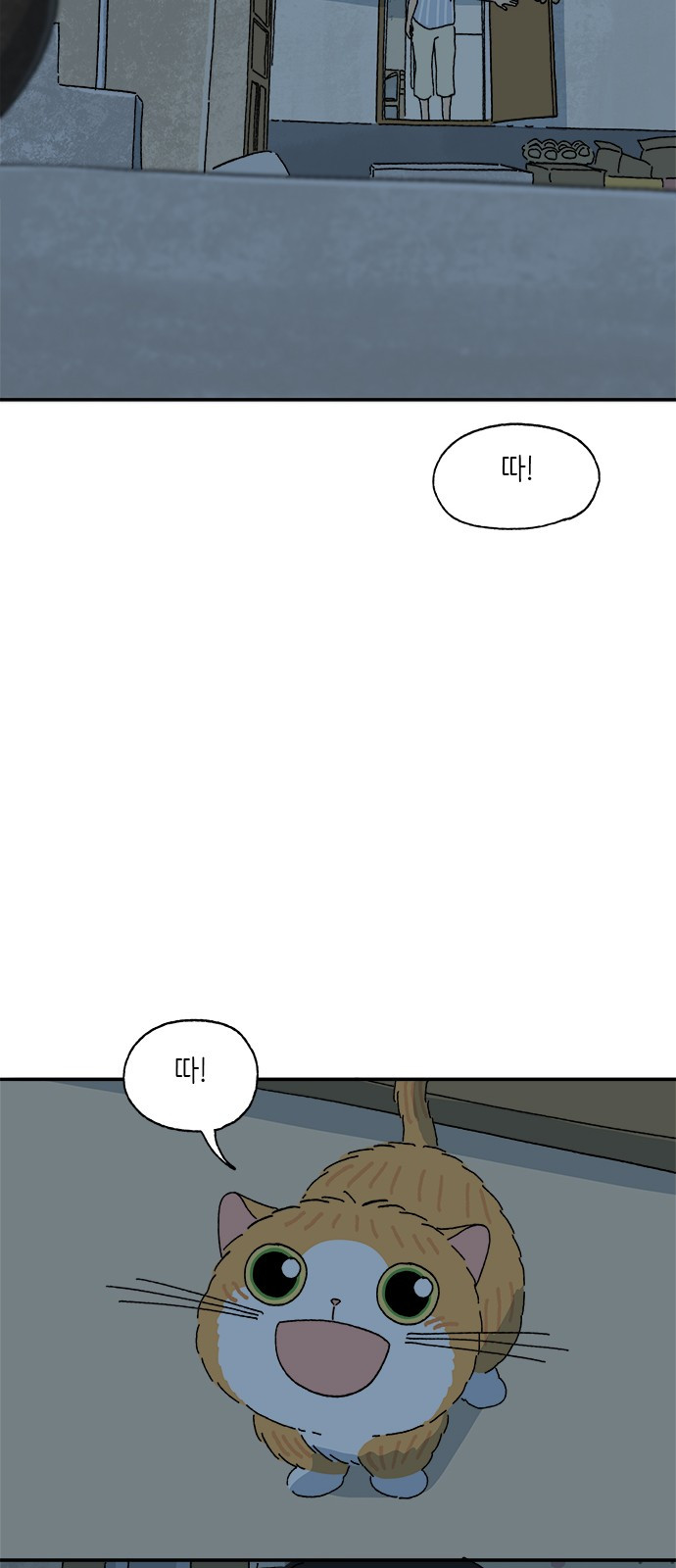 1698508829_12297762398276.jpg