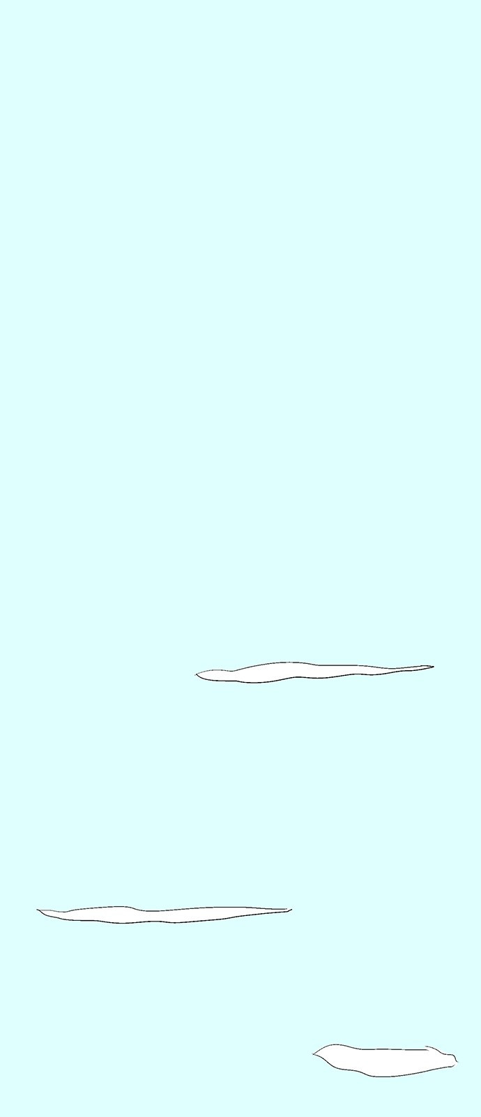 1699960034_36647124081724.jpg