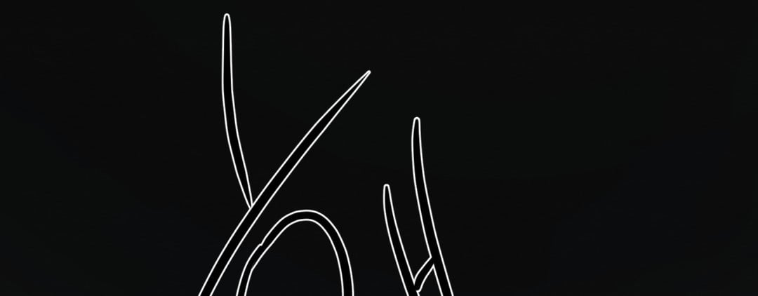 1685720010_62320419412971.jpg
