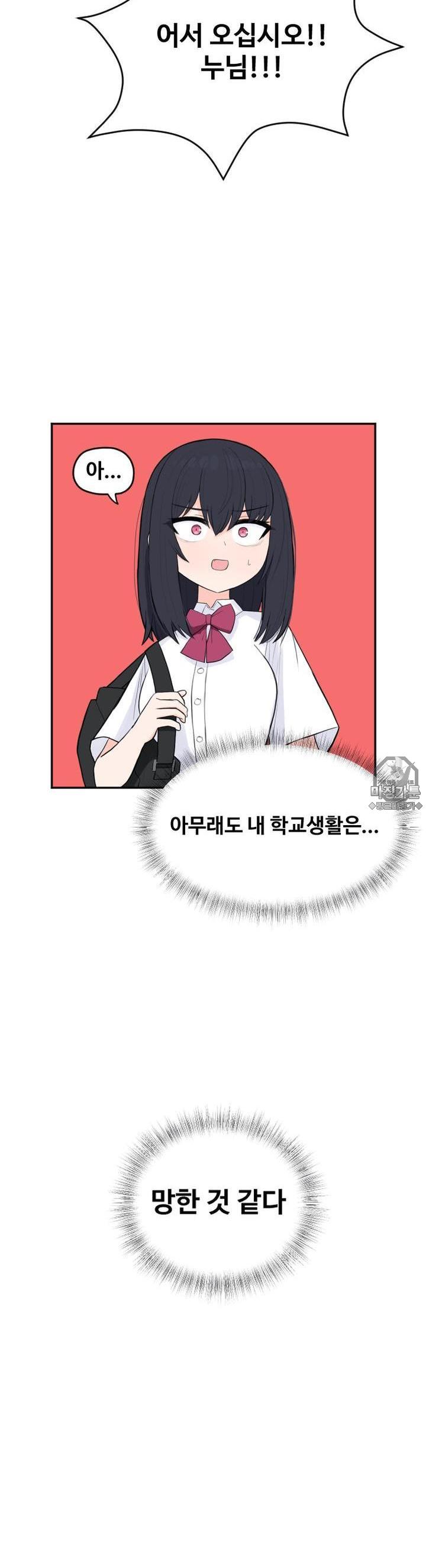 mzg_1702634806_98738503257431.jpg