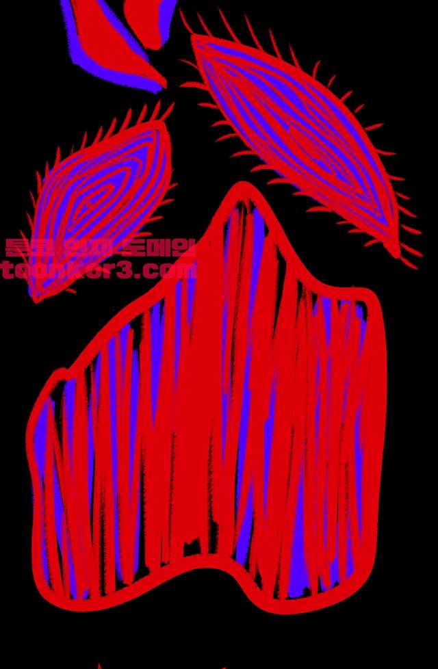 bt_1702778037_97494015388881.jpg