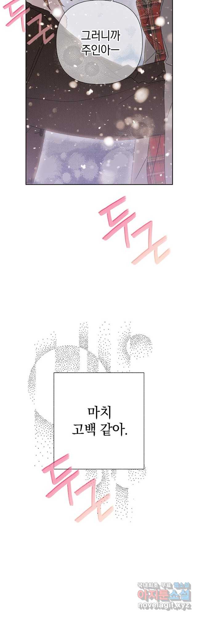 bt_1703344838_25569597445139.jpg