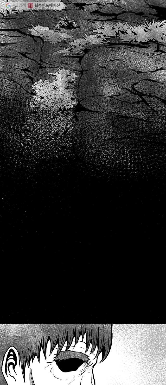 bt_1703904763_84820341014922.jpg