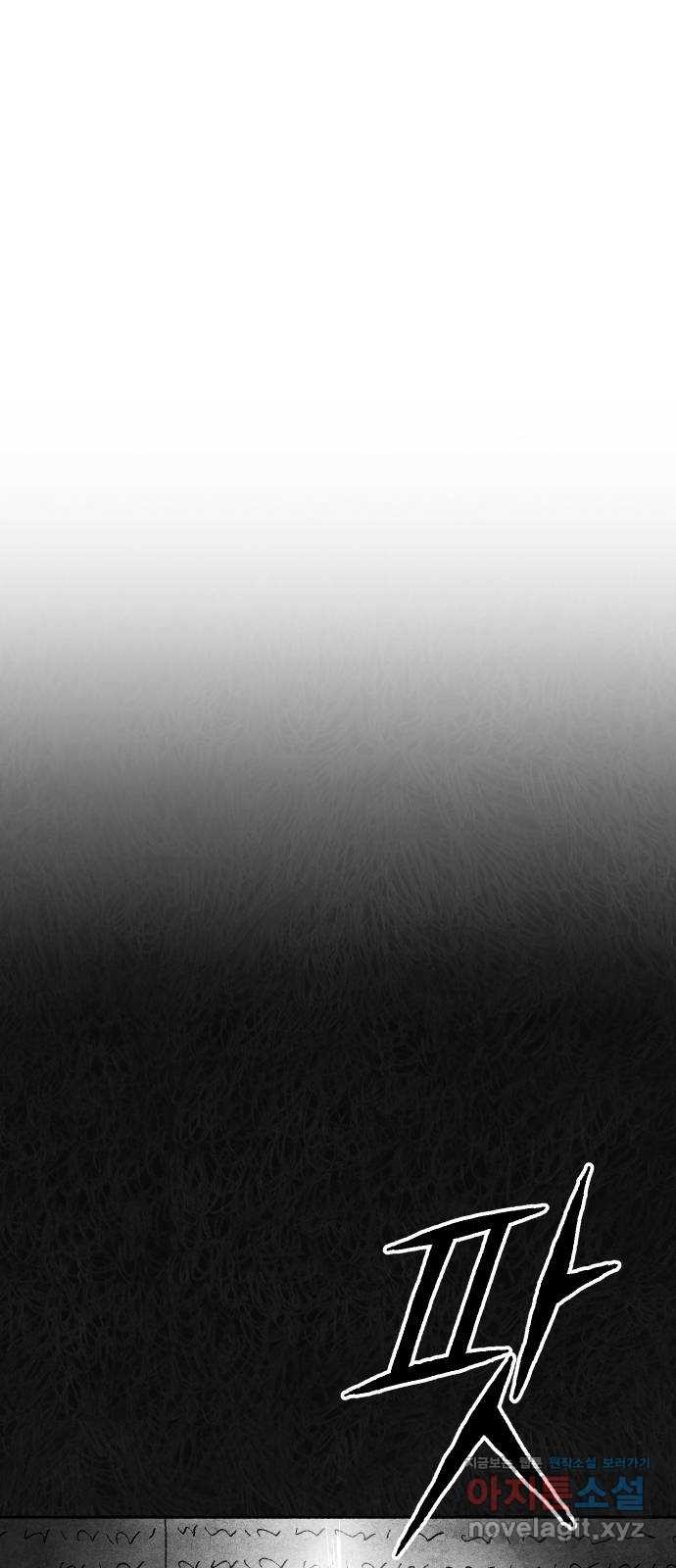 bt_1713701436_87435532321258.jpg