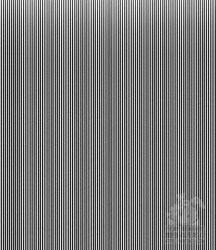 1721297364_56231902341212.jpg